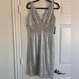 Silver Sequin Dress